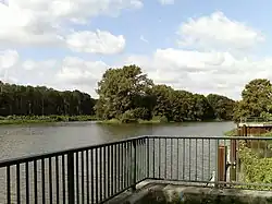 Elster in Leipzig an der Gabelung Nahle/Neue Luppe