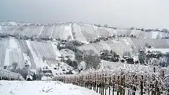 Lendava-Hügelland im Winter
