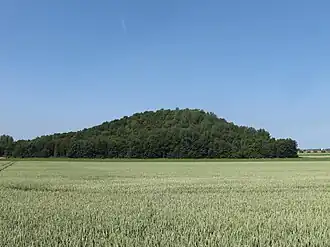 Seilbahnberg, Blick von Osten