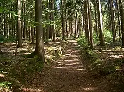 Nurtschweg südöstlich des Lenkenthales