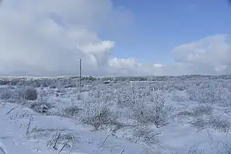 Polleurvenn im Winter