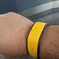 Disney Magicband (circa 2015)[12][13]