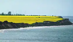 Blick zur Eckernförder Bucht.