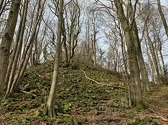 Der Gipfel des Leybergs