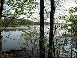 Liebenberger See im südwestlichen Teil
