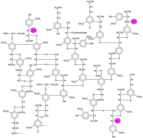 Beispiel einer Ligninsulfonatstruktur