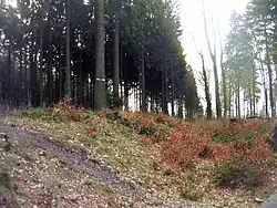 Limes beim Wachturm Wp 3/54[6]