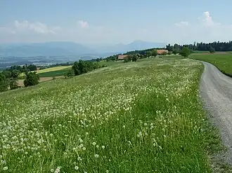 Blick vom Lindenberg auf den Zugersee und die Rigi