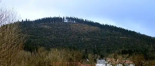 Der Lindenberg nach Durchzug des Orkans Kyrill am 19. Januar 2007