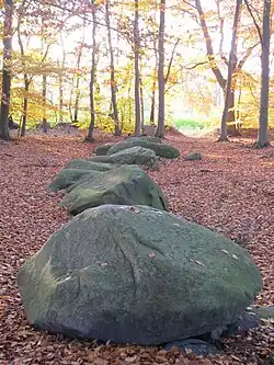 Großsteingrab Schlingsteine