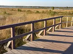 Blick über die Moorlandschaft in den Landkreis Vechta