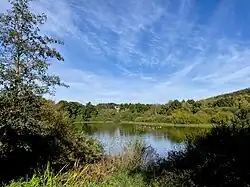 Wasservögel an der Lingese-Talsperre