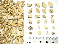 Süßholzwurzel (Liquiritiae radix)