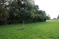 Lobsigensee – Ausgrabungsfeld mit einem der Tensiometer zur Messung der Bodenfeuchte