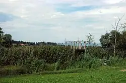 Lobsigensee – Aussichtsplattform im Schilfgürtel