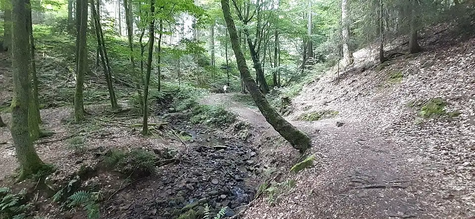 Mittlerer Talbereich