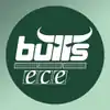 Logo der Kapfenberg Bulls