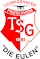 TSG Friesenheim