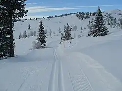 Foto einer schneebedeckten hügligen Landschaft mit einer Loipe