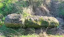 Menhir „Pierre Couchée“