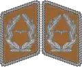 Kragenspiegel Luftwaffe