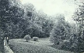 Lustwandeln in der «Bachtale» um 1900