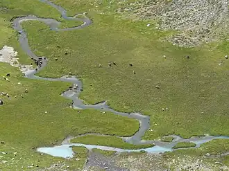 Radurschlbach-Mäander oberhalb der Hütte, mittlerweile durch einen 2019 entstandenen See überflutet