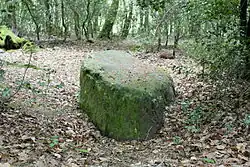 Menhir Grès Saint-Méen