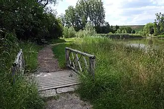 Ein Biotop mit bequemen Wegen für Besucher