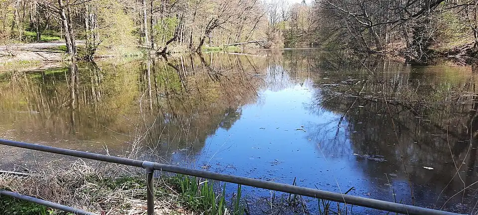 Mühlenteich der ehemaligen unteren Pansdorfer Mühle