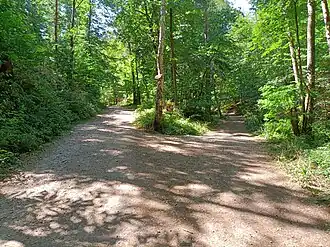 Abstieg (links) aus dem Kupferbrunner ins Mühltal