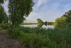 Mühlteich bei Otterwisch, von der Gösel durchflossen