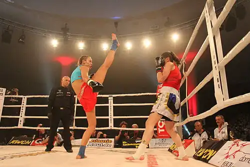 Theiss vs. Le Mée 2013