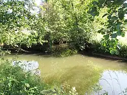 Mündung der Nässe in die Nüst