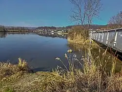 Mündung der Surb in die Aare bei Döttingen