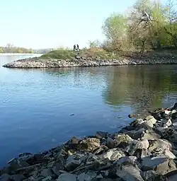 Rehbachmündung (von rechts) in den Rhein