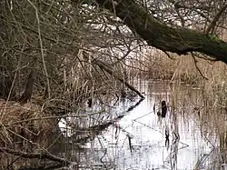 Die Mündung in den Pritzerber See