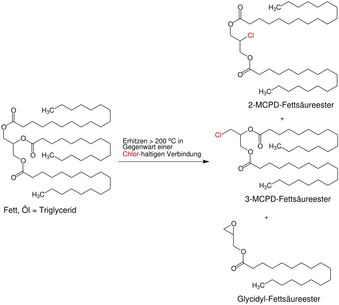Schematische Darstellung der Bildung eines 2-MCPD-Fettsäureesters, eines 3-MCPD-Fettsäureesters und eines Glycidyl-Fettsäureesters aus einem Fett oder Öl.