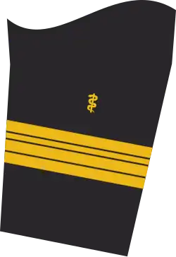 Ärmelabzeichen der Jacke des Dienstanzuges für Marineuniformträger (Humanmediziner).
