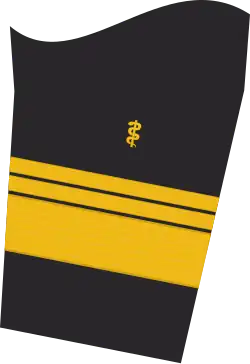 Dienstgradabzeichen eines Admiraloberstabsarztes (Approbation für Humanmedizin) auf dem Unterärmel der Jacke des Dienstanzuges für Marineuniformträger