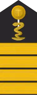 Schulterklappe für Marineuniformträger (Apotheker).