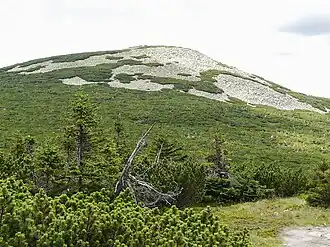 Der von Geröll bedeckte Gipfel.