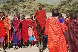 Krieger führen den traditionellen Adumu-Tanz auf / Adumu