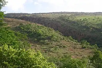 Hamerkop Kloof in den Magaliesbergen