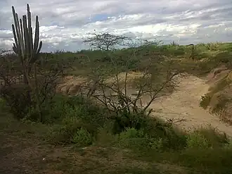 Trockenes Land am Stadtrand von Maicao, Guajira.