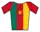 Kamerunisches Meistertrikot