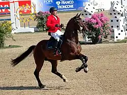 Ein Springreiter in rotem Reitjacket, der ein braunes Pferd reitet. Das Pferd galoppiert und steht dabei nur mit einem Bein auf dem Sandboden, die beiden vorderen Beine sind hoch in der Luft erhoben. In Hintergrund sind die Fangständer verschiedener Hindernisse zu sehen, die unter anderem als Würfel gestaltet sind.