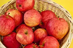 Erbachhofer Mostapfel