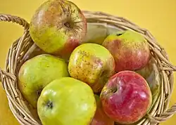 Luxemburger Reinette