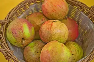 Rheinischer Krummstiel